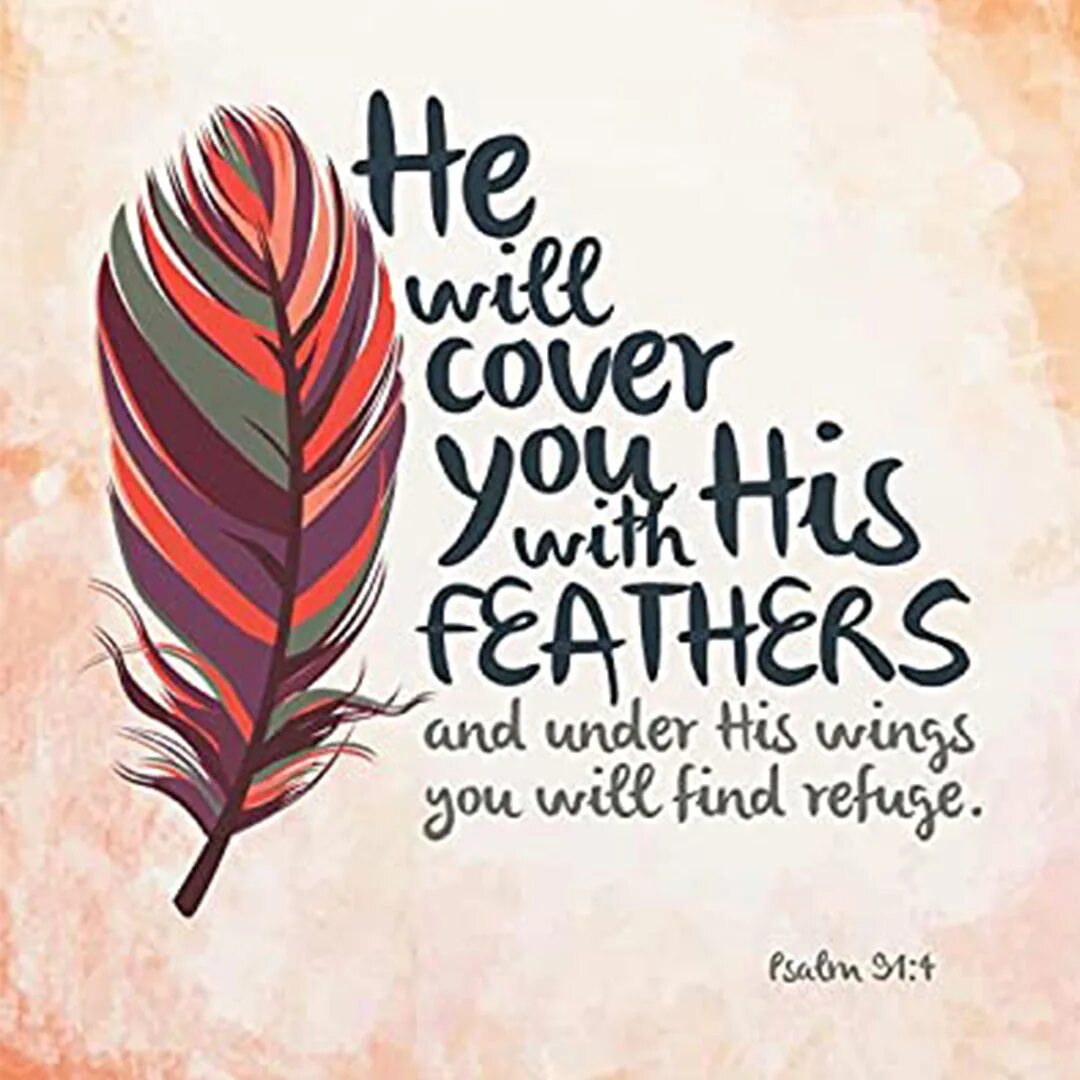 Feathering his own. He will Cover you with his Feathers and under his Wings you will find Refuge перевод на русский. He will Cover you with his Feathers and under his Wings you will find Refuge откуда эта фраза.