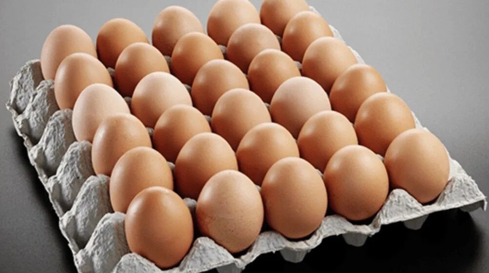 Сколько яиц в лотке. Лоток для яиц. Яйцо куриное. Решетка для яиц. Десяток яиц.