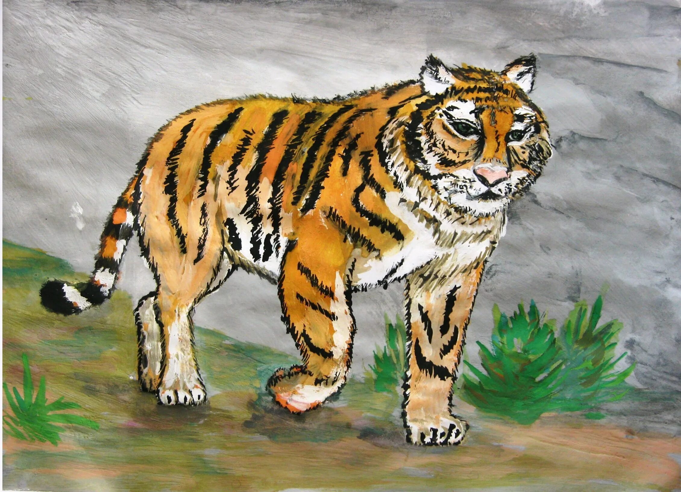 Как нарисовать амурского тигра