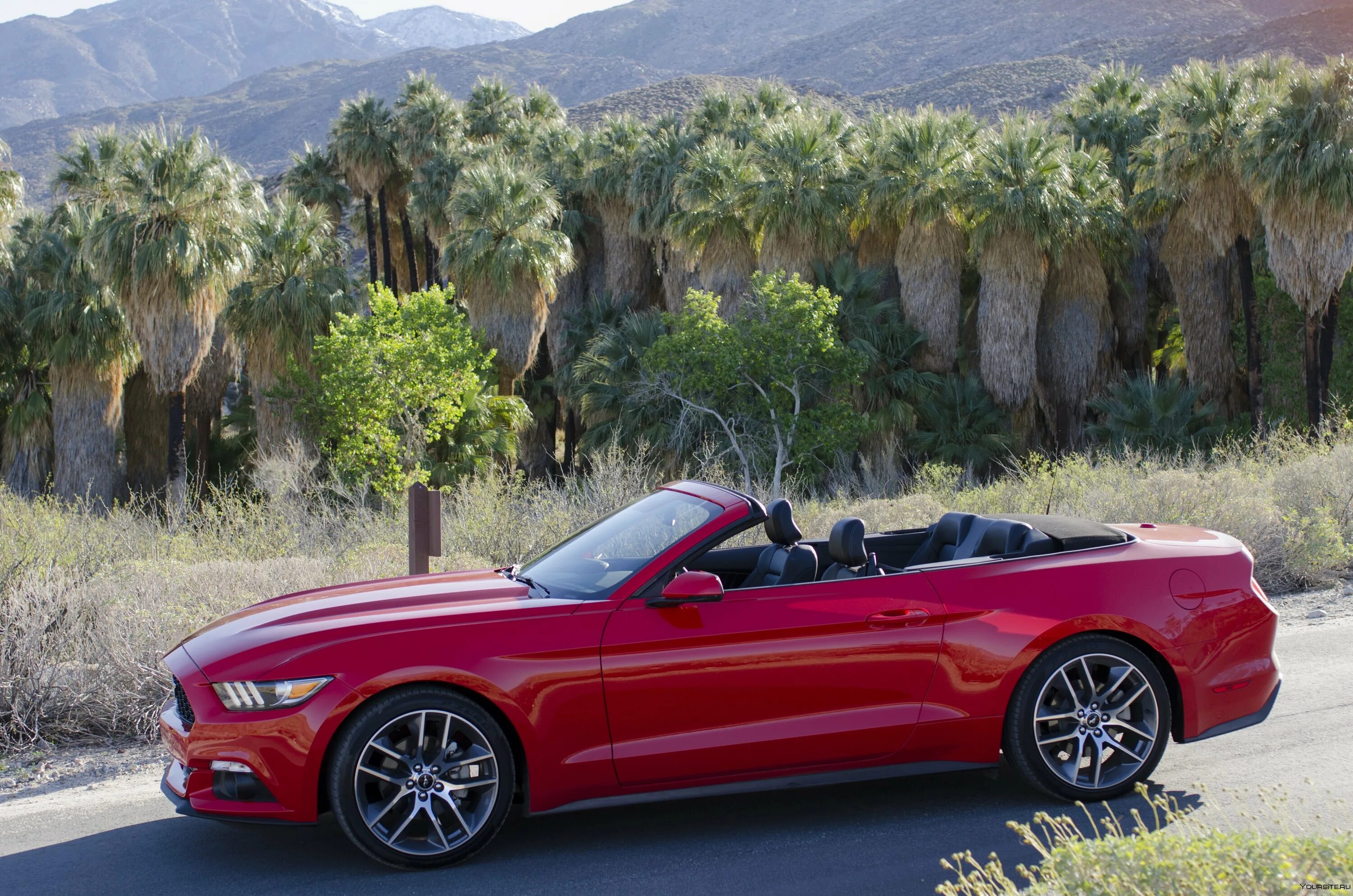 Форт Мустанг кабриолет. Ford Mustang Cabriolet. Ford mustal KABRIALET. Ford Mustang Cabriolet 2014