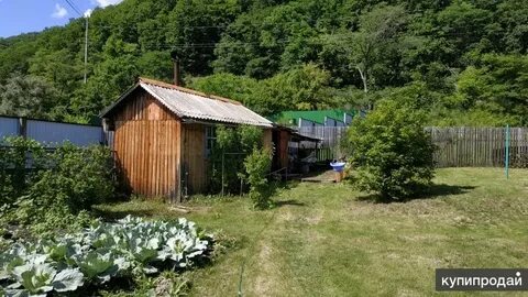 Фарпост дальнегорск