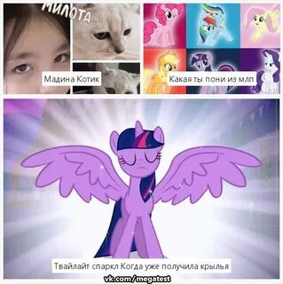 Кто ты из май литл пони quiz