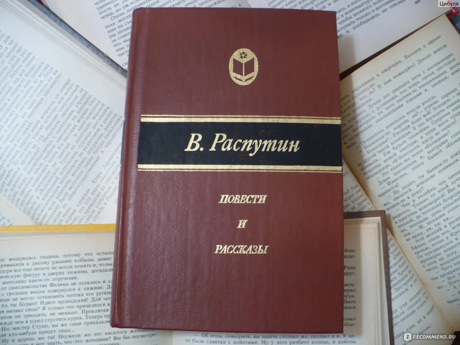 Деньги для Марии книга. Деньги для Марии Распутин. Деньги для марии читать