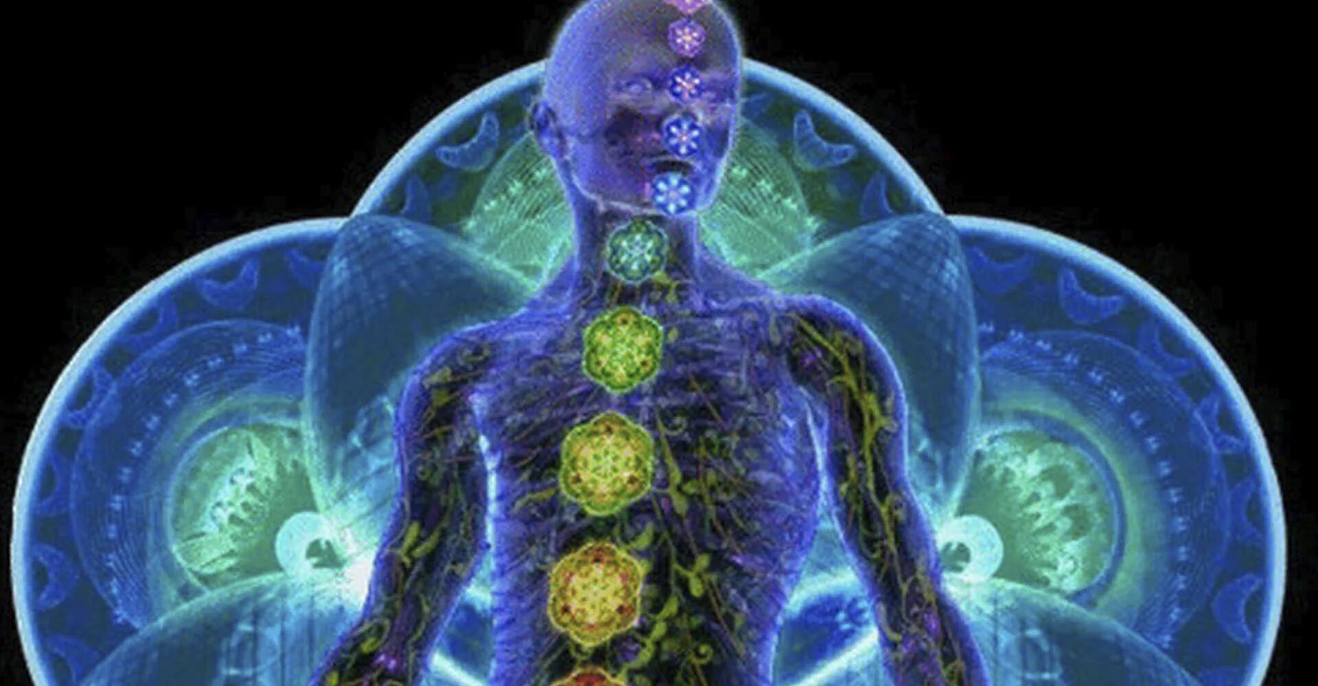 Семь полей человека. Эфирное тело. Энергетические центры человека тонкие тела и физическое тело. Ментальное астральное и эфирное тело человека. Тонкие тела человека.