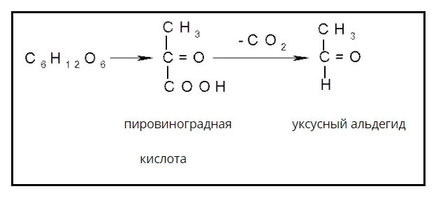 Пировиноградная кислота формула