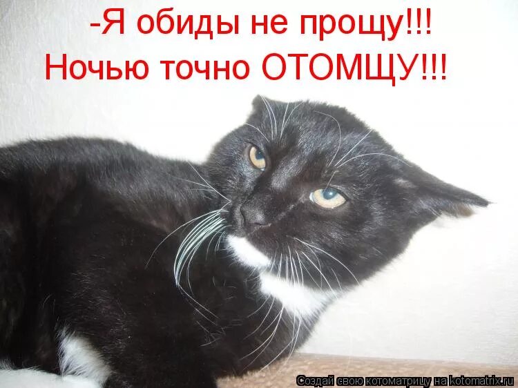 прощаться цитаты. не прощу. просит прощения сильный. прощай. я не скажу прощай татьяна овсиенко.