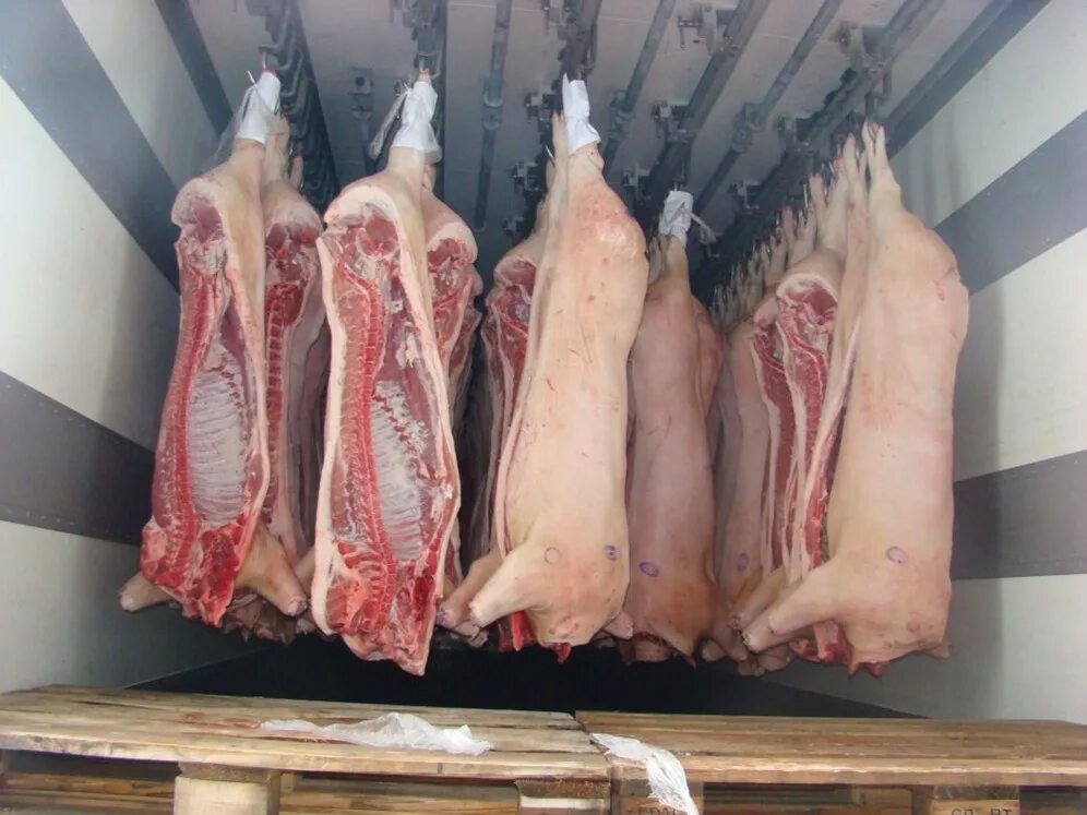 куда можно сдать мясо свинины