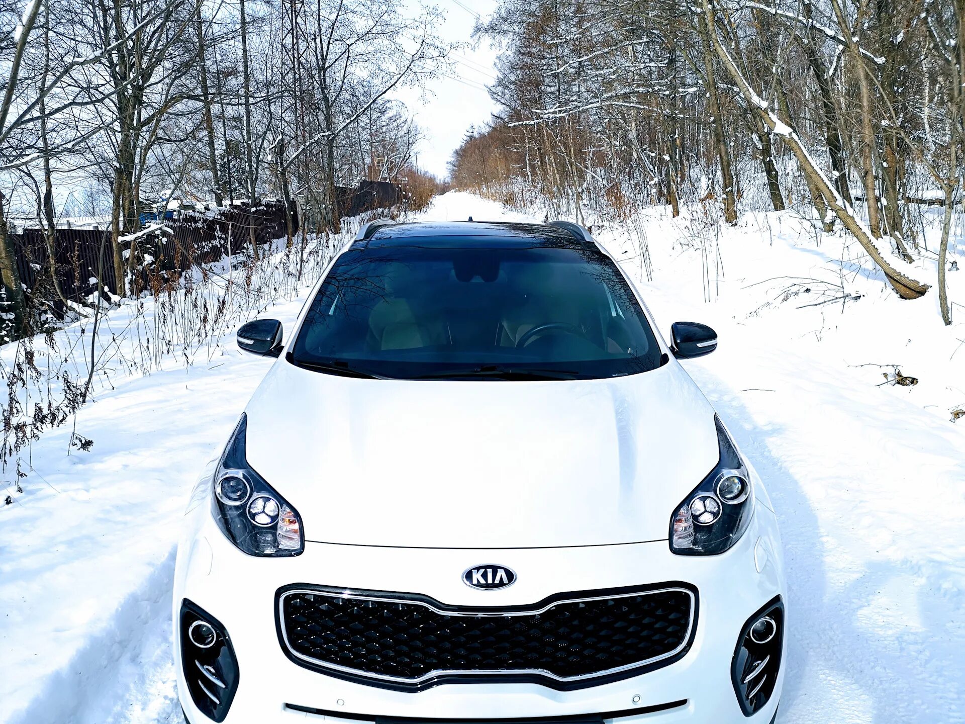 Кия Спортейдж 4 белый. Kia Sportage 4 черная крыша. Kia Sportage 4 белая. Белый Киа Спортейдж 4 с черной крышей.