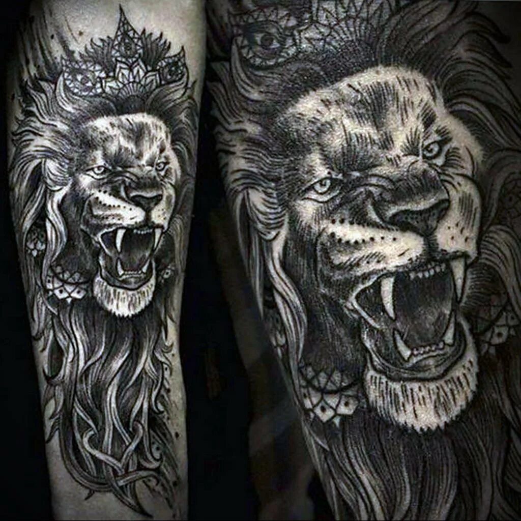 Тату лев реализм. Наколки оскал льва. Тату льва на плече мужские. Лев на зоне значение. Тату лев на руке оскал.
