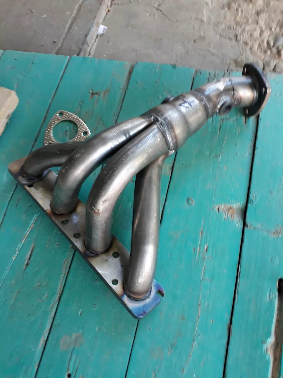 Паук калина 1