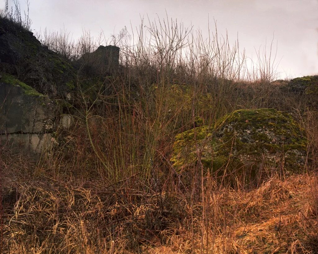 найди здесь отзывы.