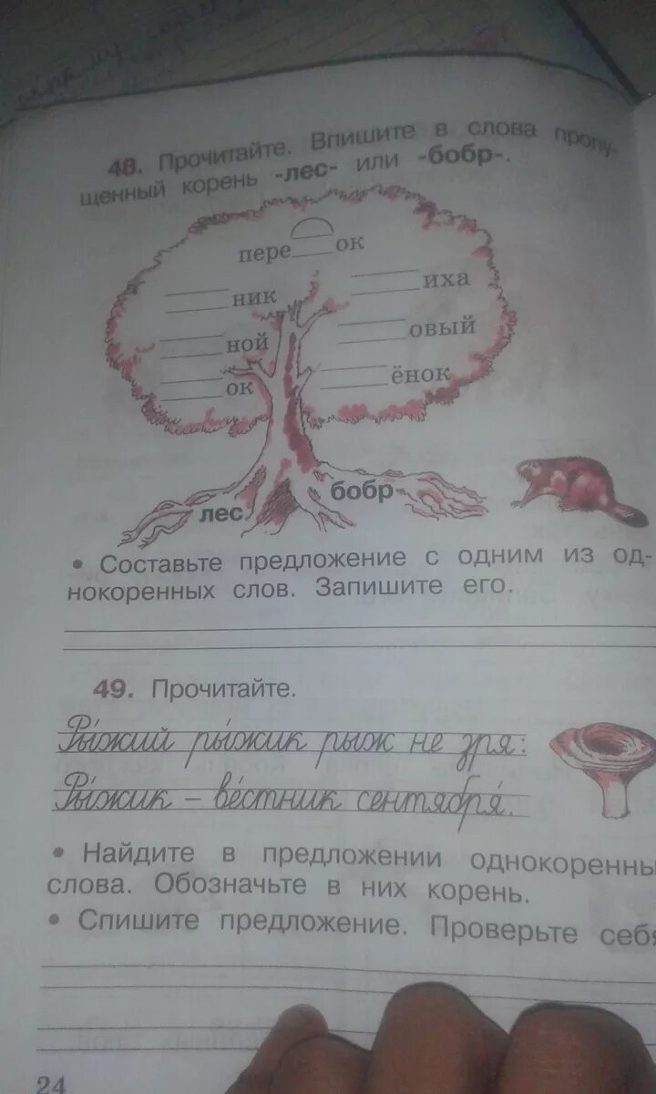 48 прочитай слова. Прочитайте впишите в слова пропущенный корень лес и Бобр. Предложение из однокоренных слов лес или Бобр. Составить предложение со словом Бобр. Придумай предложение с корнем лес или Бобр.