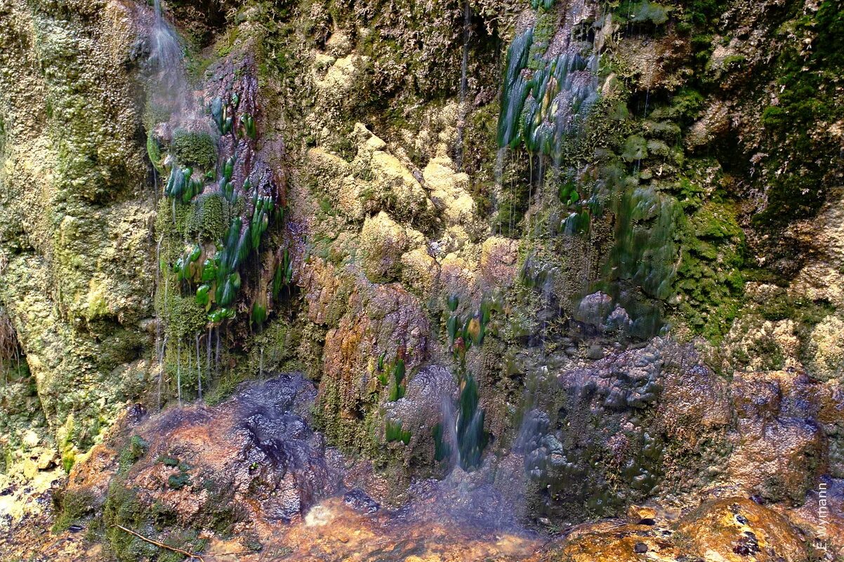 Плачущая скала симферополь. Симферополь водопад плачущая скала. Кричащие скалы. Плачущая скала бахчисарай. Кричащие скалы.