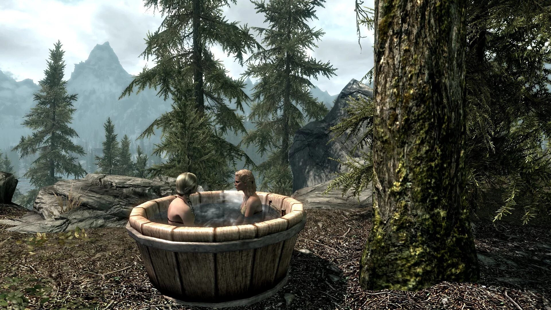 Elder scrolls mod. Скурим 2. Скайрим 5 спешл эдишн. Котелок Аркадии скайрим. Skyrim vilja.