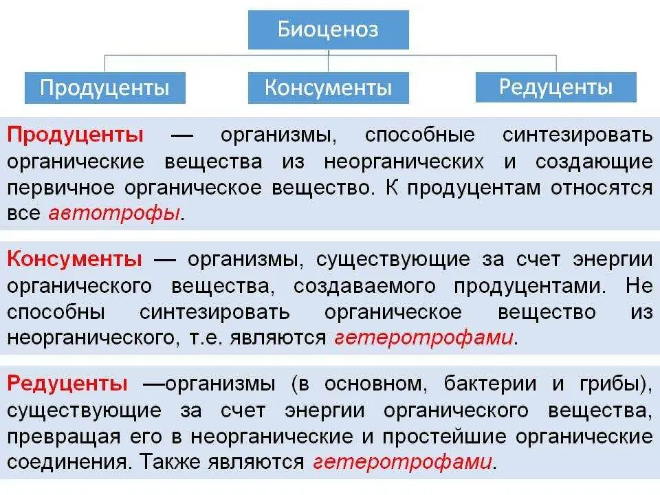 Продуценты какой фактор