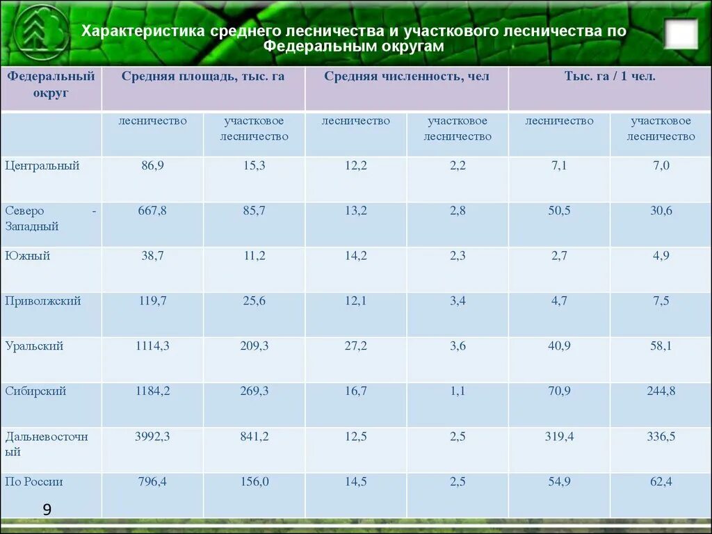 Стратегия развития федеральных округов. Характеристика средняя. Характеристика лесного хозяйства. Средними характеристики. Лесное хозяйство таблица.