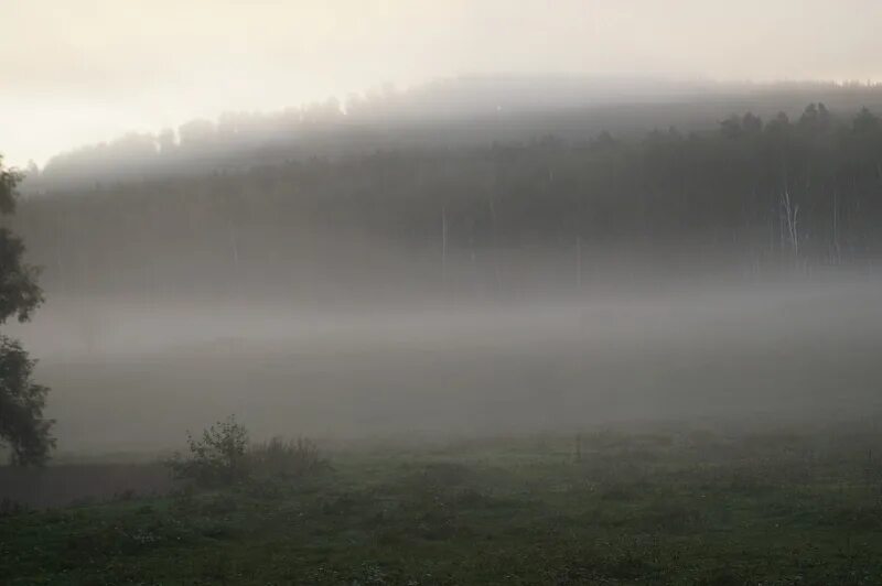 Сумы с пеленой. Серебристый туман. Пелена тумана. Пелена над рекой. Пар над травой.