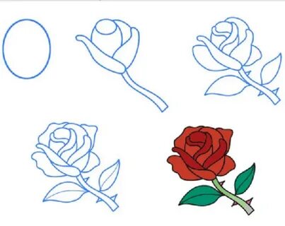 Полезный лайфхак: Как нарисовать поэтапно цветок - розу, лилию, нез.
