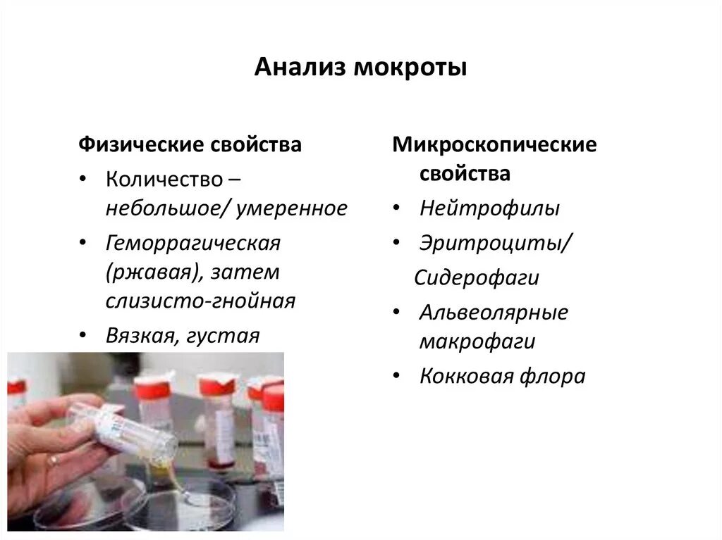 Сколько нужно мокроты. Лабораторные анализы мокроты. Исследование мокроты для лабораторных исследований. Лабораторный метод исследования мокроты. Лаборатории на исследование мокроты на микобактерии туберкулеза.