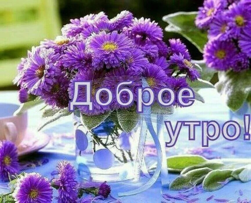 Доброе утро племянница