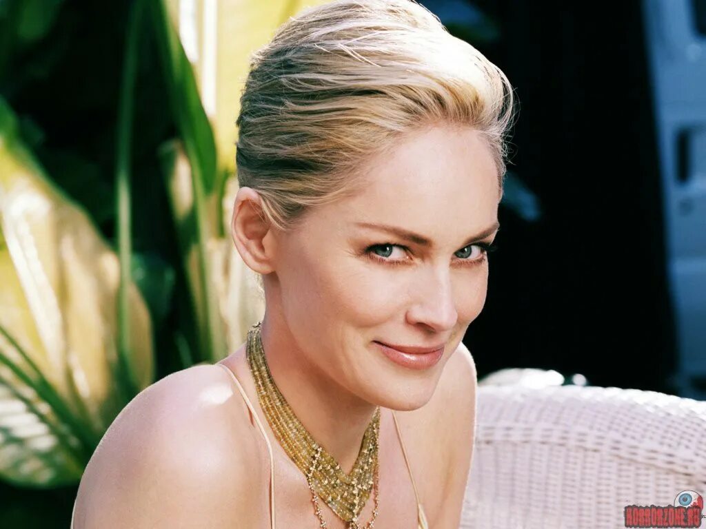 Стоун юба. Шэрон Стоун. Шэрон Стоун фото. Шэрон Стоун молодая. Firooz Zahedi Sharon Stone.