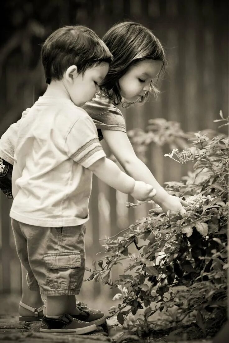 Мальчик и девочка друзья. Дружба мальчика и девочки. Мальчик и девочка любовь. Любовь маленького друга. Мальчик дарит цветы девочке на скамейке.