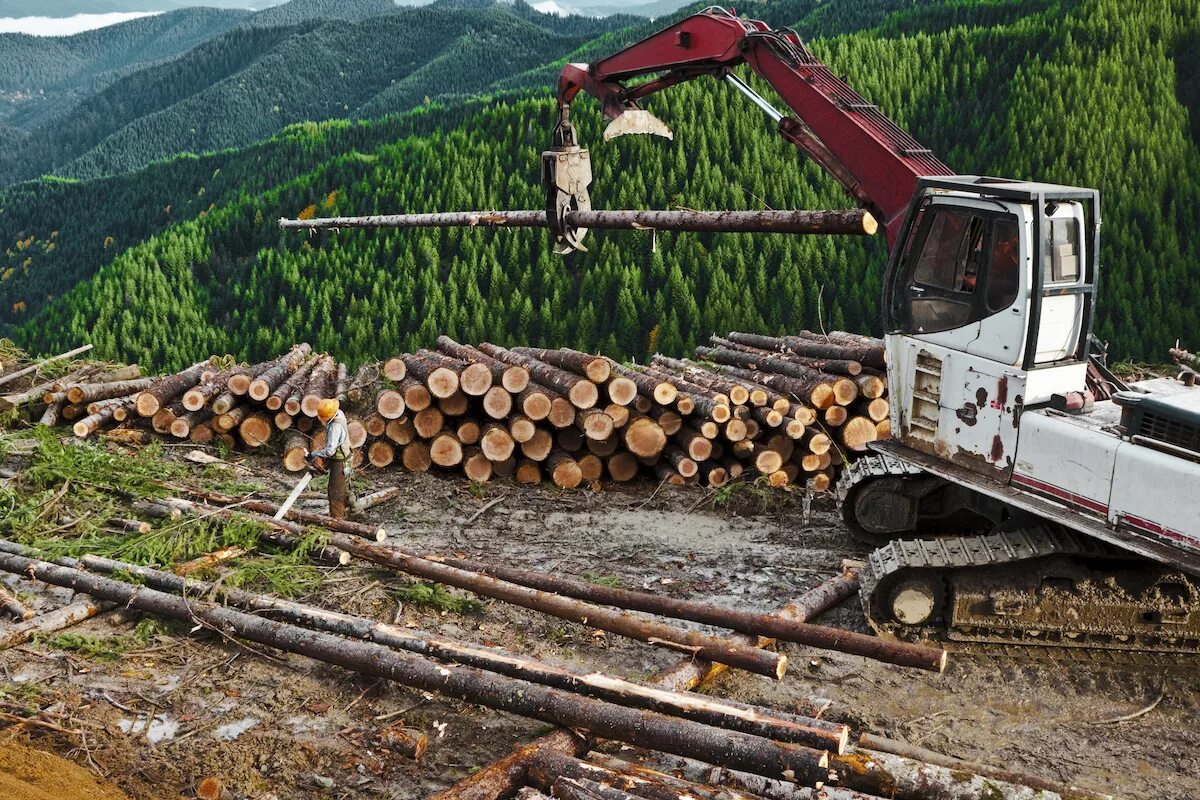 Additional logging. Additional logging