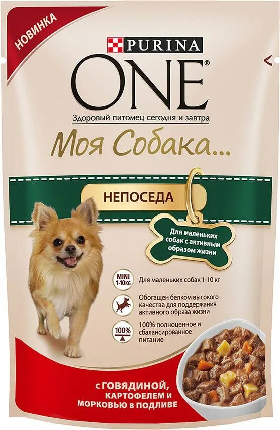 Корм для карликовые породы собак. Purina one Mini корм для активных собак утка паста фасоль 85г. Корм Пурина one для собак мелких пород. Пурина корм для собак мелких пород влажный. Purina one корм для собак пауч 85г..