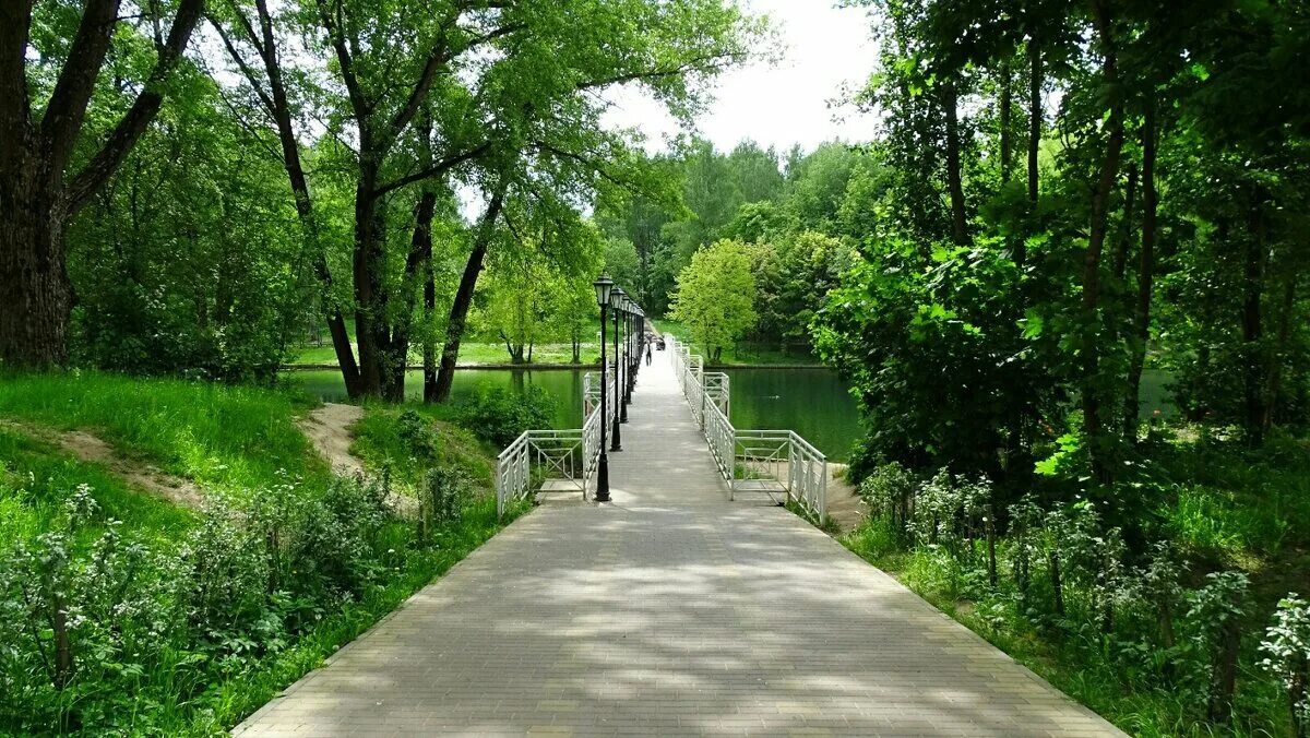 парк соловьиная роща смоленск зимой. парк соловьиная роща. парк соловьиная роща смоленск зимой. парк соловьиная роща курск. смоленск соловьиная роща.