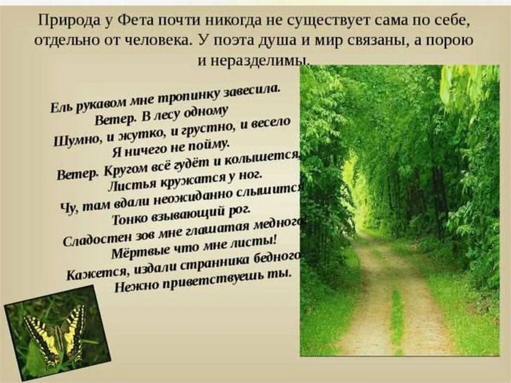 Анализ стихотворения учись у них фет. Стихотворение Фета о природе. Стихотворение Фета презентация. Стихотворение Фета ель рукавом мне тропинку завесила. Человек и природа в творчестве Фета.