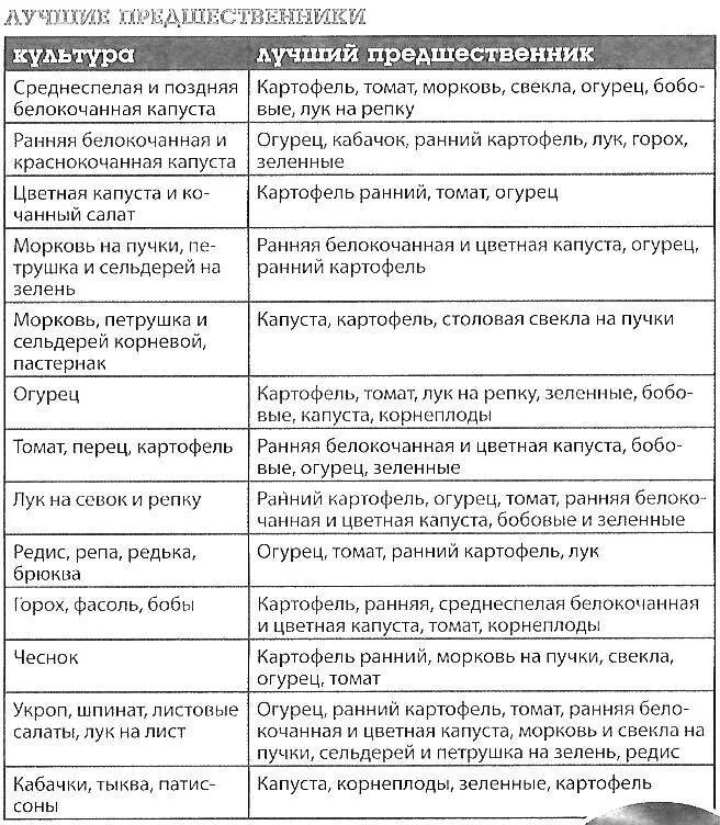 Можно ли сажать клубнику после клубники. Какую культуру можно сажать после картофеля. Какие овощные культуры можно сажать после картошки. После каких культур можно сажать чеснок.