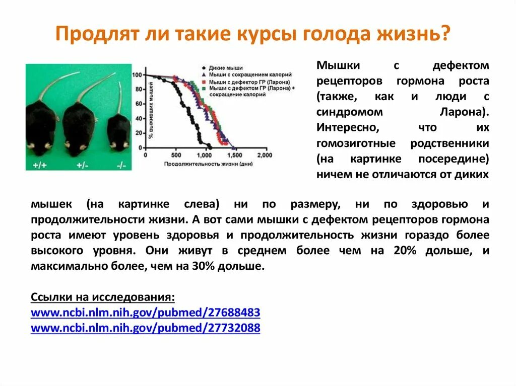 Продолжительность жизни мыши. Голод и гормон роста. Голодание и гормоны. Гормон роста при голоде. Гормон роста при голодании график.