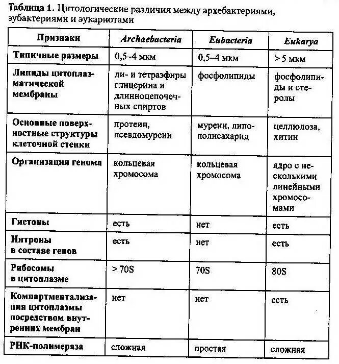 Таблица отличия основных видов изображений. Отличие архебактерий от эубактерий. основные отличительные признаки эубактерий. отличие архебактерий от прокариот. сравнение бактерий архей и эукариот таблица.