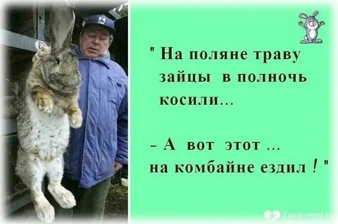 Люди косили траву а в траве продолжить