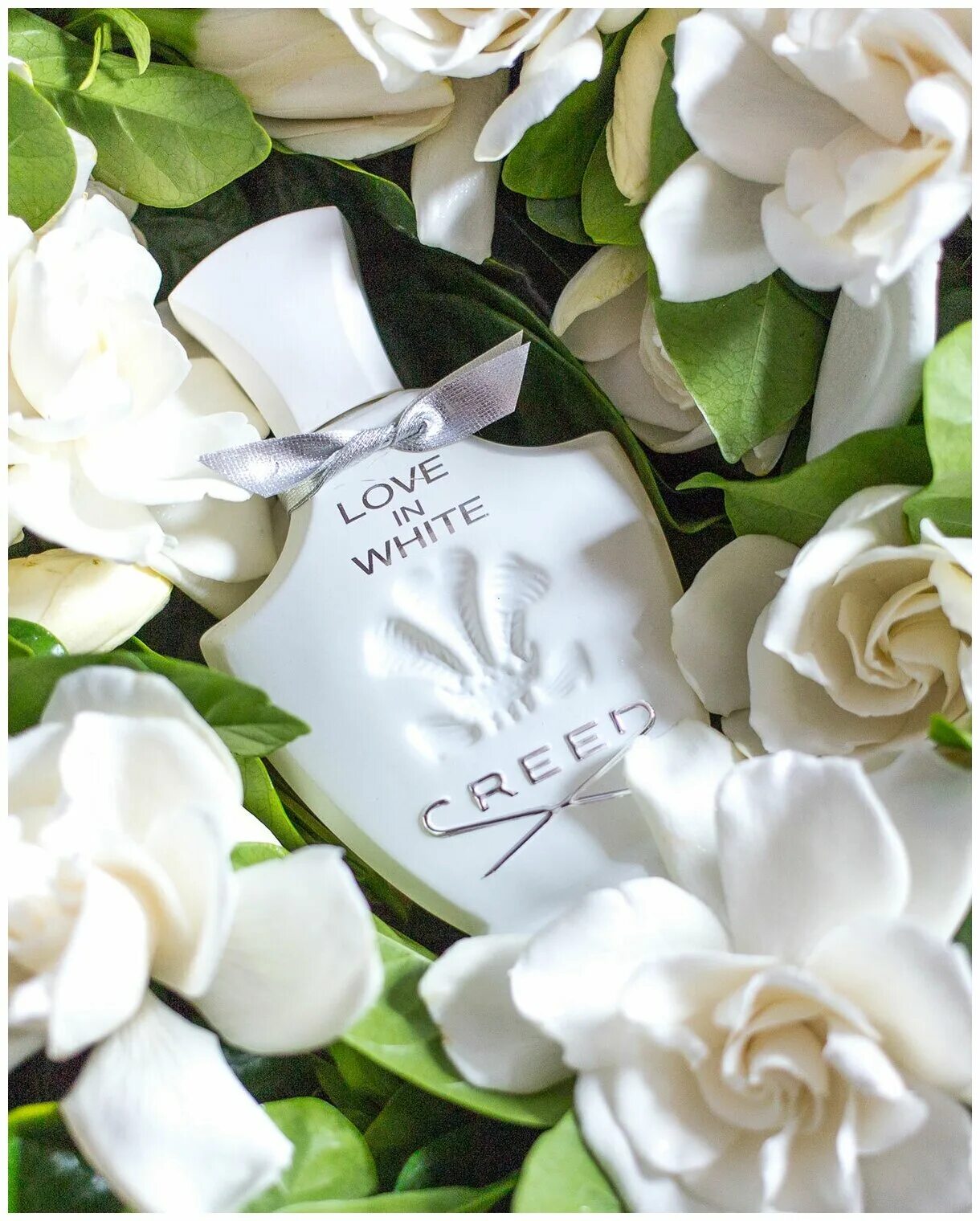 Вайт лове. Creed Love in White, 75 ml. Парфюм Creed Love in White. Creed - Love in White Eau de Parfum. Creed духи женские Love in White.