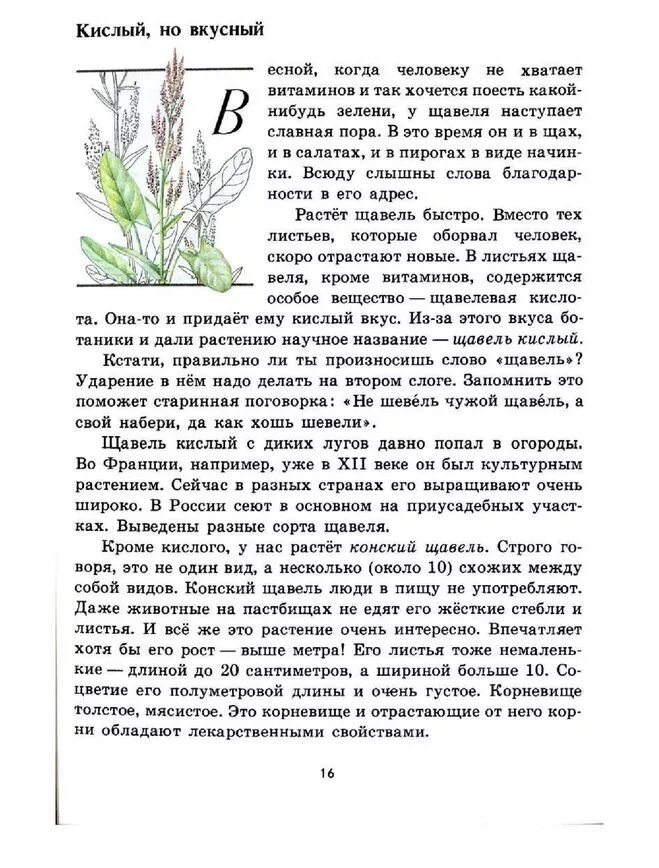 атлас-определитель 2 класс окружающий мир плешаков зеленые страницы. зеленая страница окружающий мир читать. книга зелёные страницы 2 класс. книга зеленые страницы растения. книга зелёные страницы 2 класс.