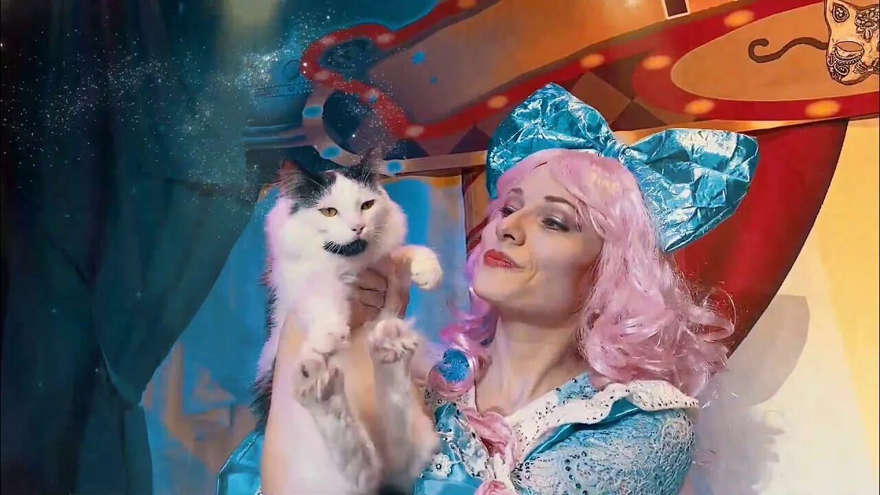 The nutcracker cat. Артисты музыкального театра. Представление спектакль. Кошки против барабаса. Кошки против барабаса.