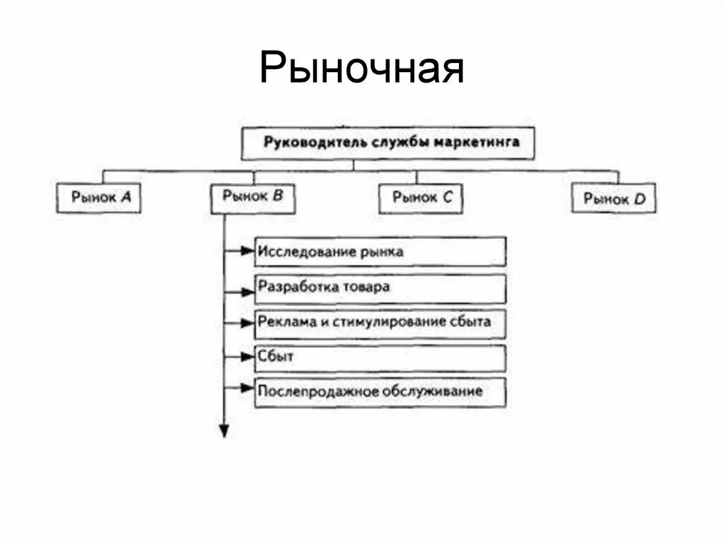 Виды рынка в маркетинге. Рыночная структура организации маркетинговой службы. Рыночная организационная структура маркетинга. Схема организации службы маркетинга по рыночному принципу. Рыночная структура управления маркетингом.