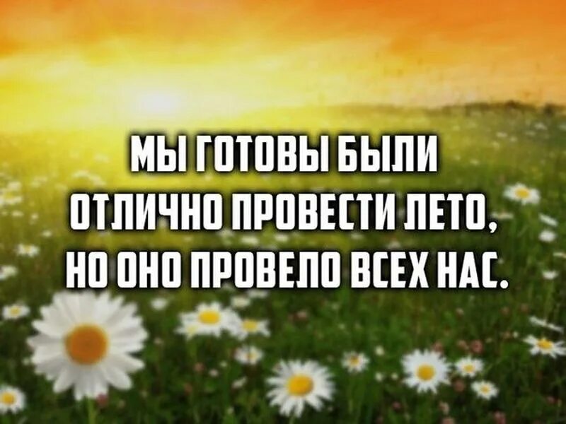 Холодное лето высказывание. Цитаты про лето. Приколы про Холодное лето. Лето картинки с надписью. Скоро лето пройдет