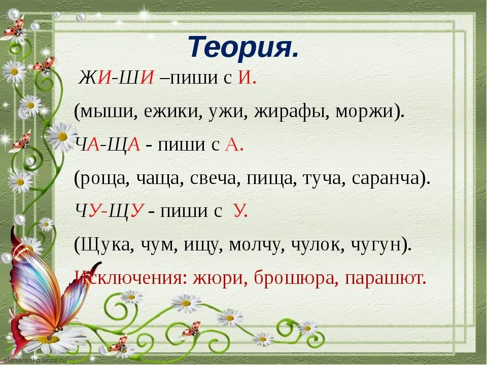 Правило жи ши. Слова исключения жи ши. Правило жи ши исключения. Слова исключения в правиле жи ши.