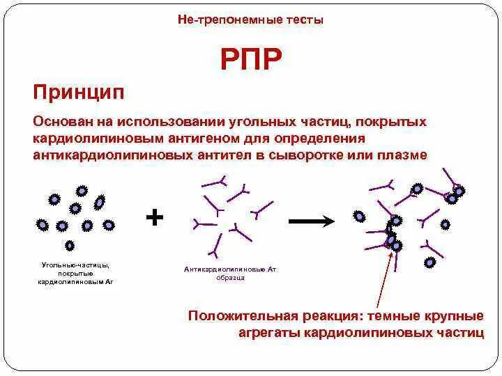 Реакция микропреципитации что это за анализ. Реакция микропреципитации с кардиолипиновым антигеном. Антиген кардиолипиновый для РМП. Микрореакция на кардиолипиновый антиген. RPR тест с кардиолипиновым антигеном.