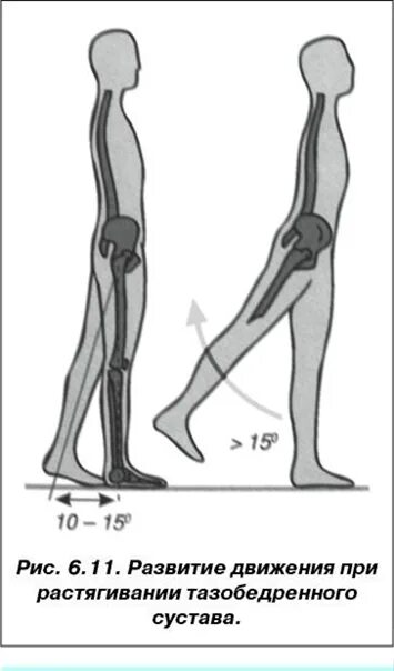 Почему не двигается нога. Движения в тазобедренном суставе. Движение ног при ходьбе. Движение в тазобедренном суставе при ходьбе. Тазобедренный сустав при ходьбе.