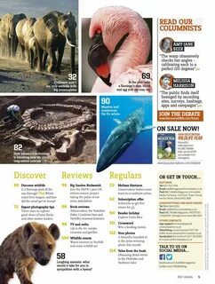 Bbc wildlife