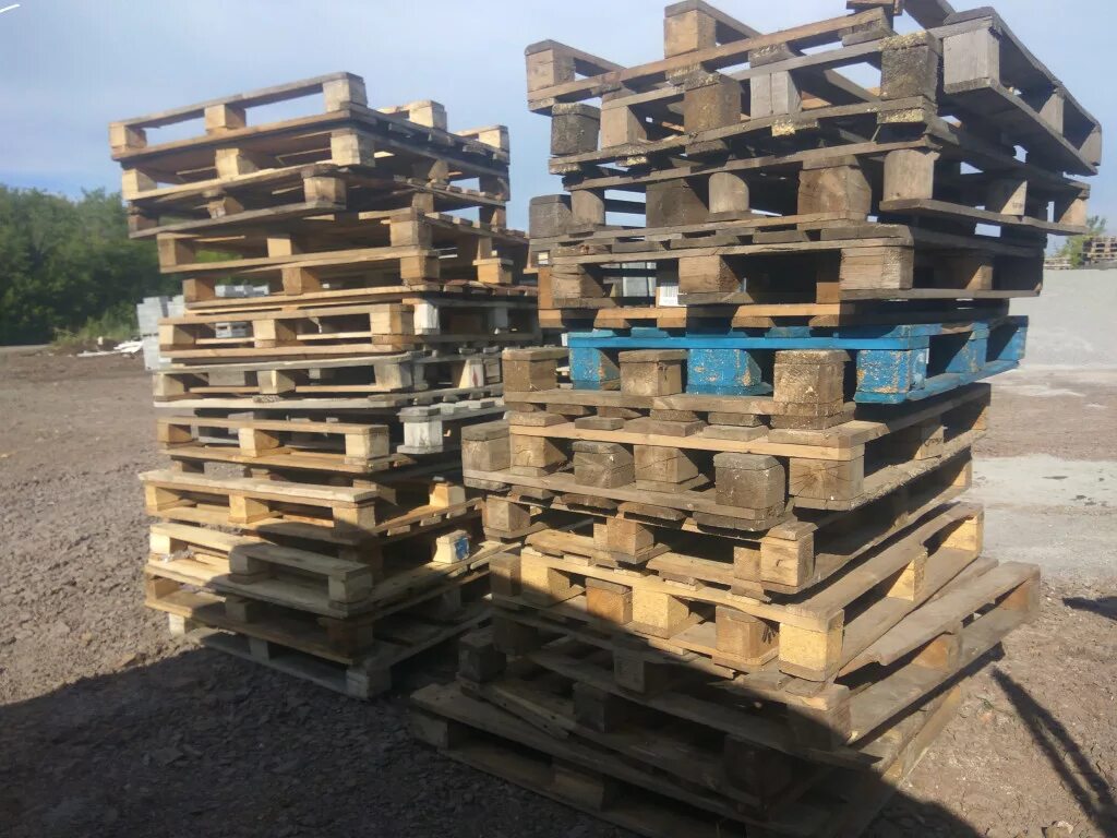 Скупка паллетов