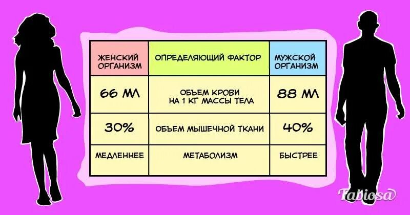 Объем человека. Сколько крови у мужчин и женщин. Количество крови в организме женщины. Количество органов в теле женщины. Количество крови у мужчин и женщин.