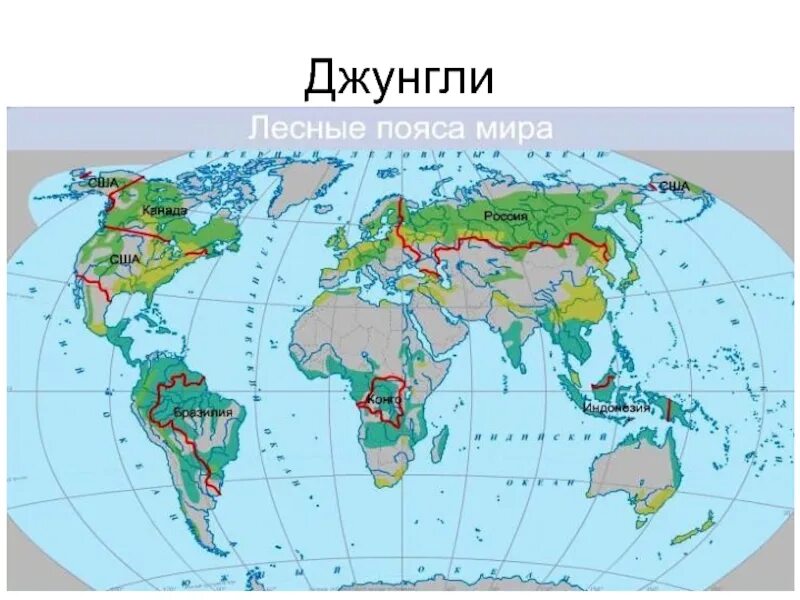 Границы распространения Северного и Южного лесных поясов. Северный и Южный Лесной пояс на карте. Лесные пояса на карте.