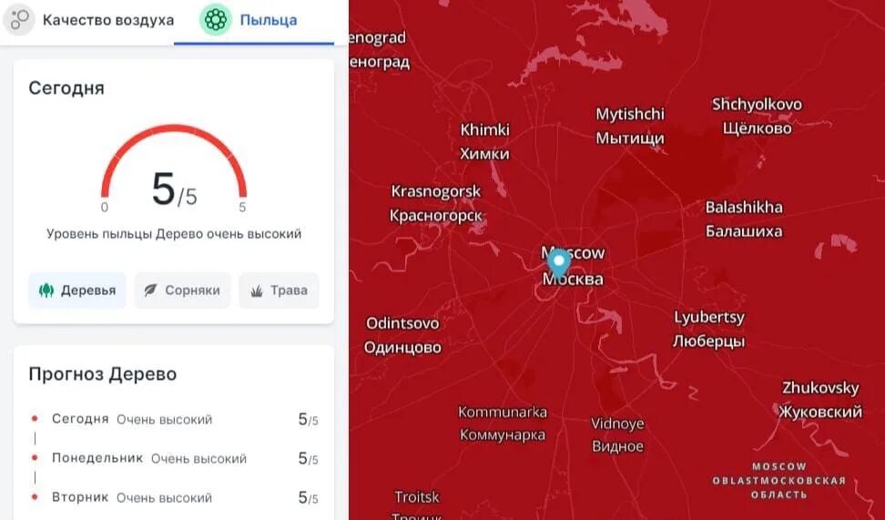 Карта пыльцы для аллергиков Москва. Уровень пыльцы в Москве. Уровень пыльцы в воздухе сегодня. Уровень пыльцы в воздухе