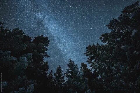 Stars above