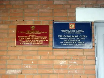 Ломоносов 23