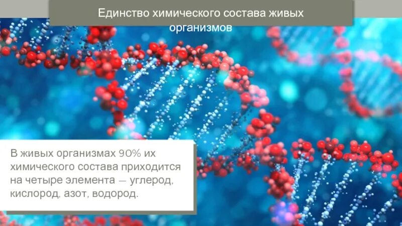 Химический состав живых организмов. Единство химического состава. Закон физико-химического единства живого вещества. Единство химического состава живых организмов.